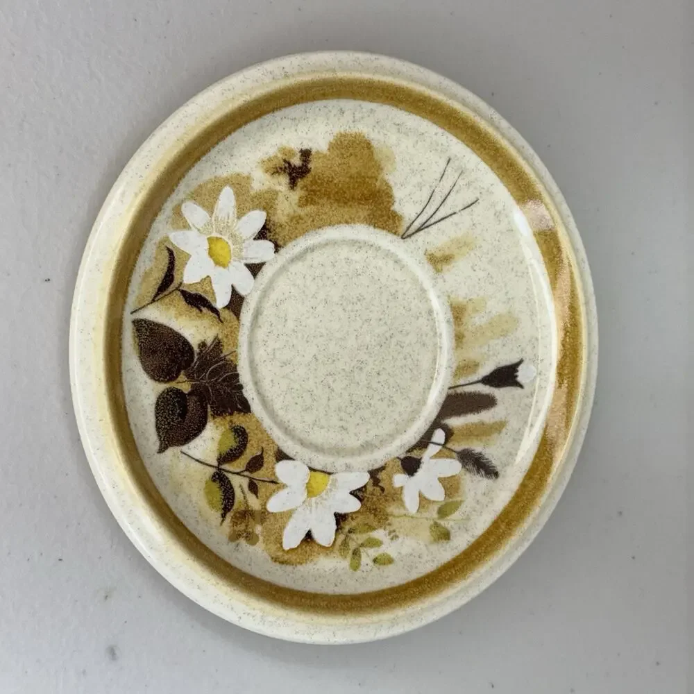 Lot of 5 Mikasa Daisy Mae Stone Manor Plates & Bowls Set MCM Floral Brown Japan